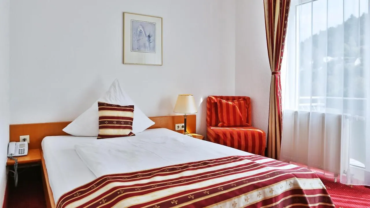 Hotel Neckarlux Heidelberg 3*,  Germany