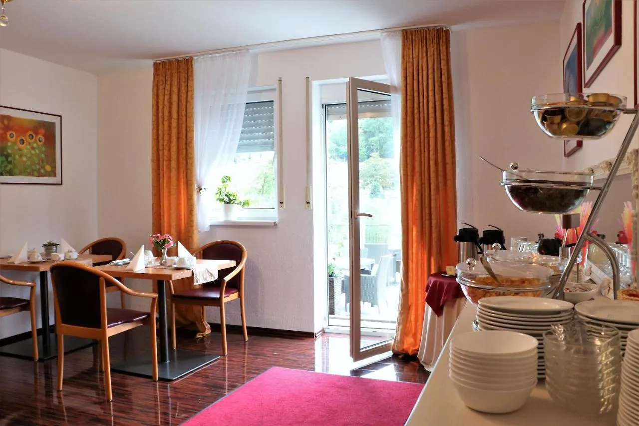 Hotel Neckarlux Heidelberg